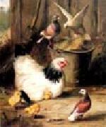 unknow artist Hen chicken and pigeon oil painting artist
